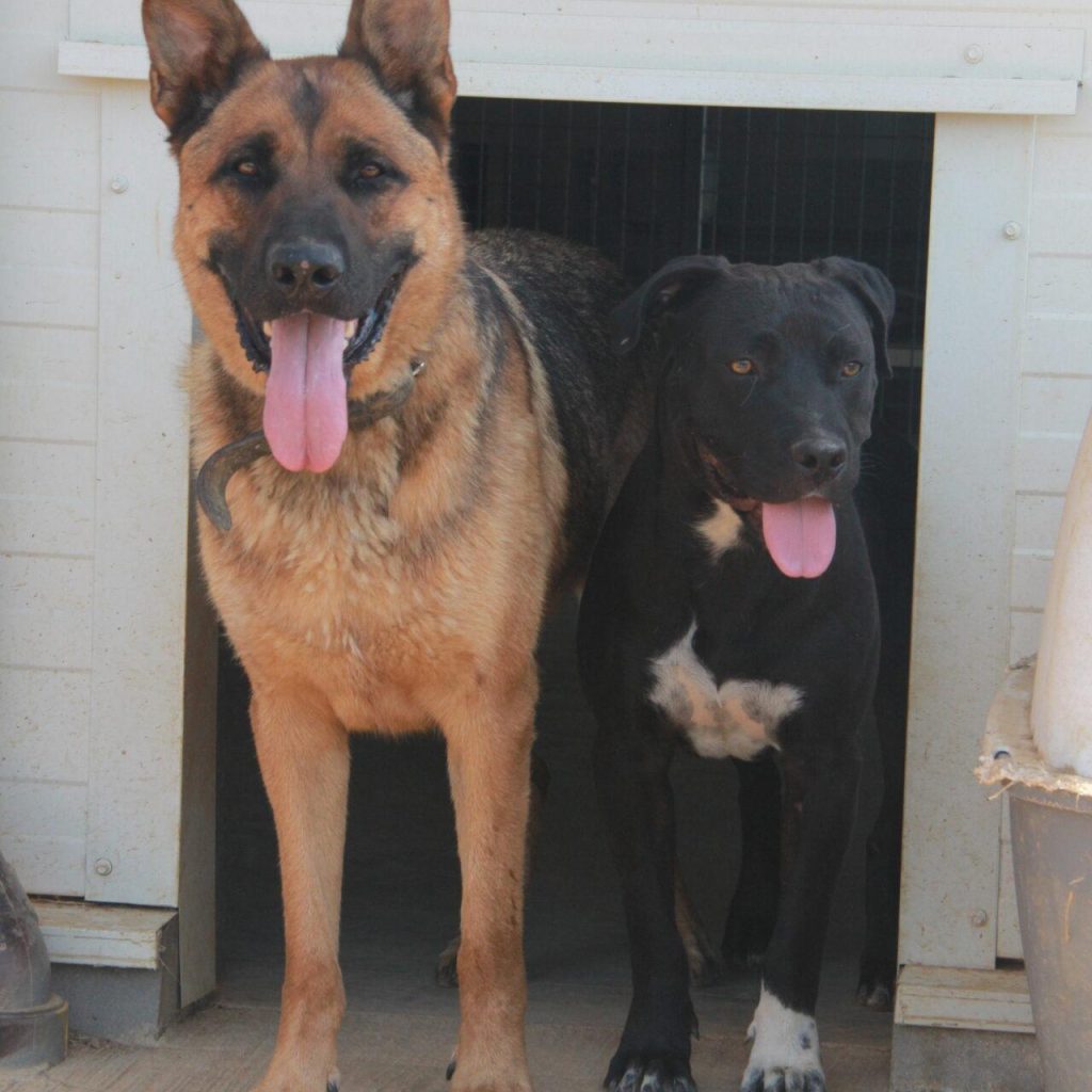 Zeus Et Rollo