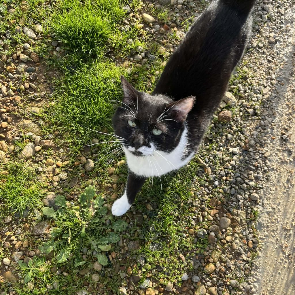 A0bcbc15 Af45 414c 9a29 45e06beeeb54