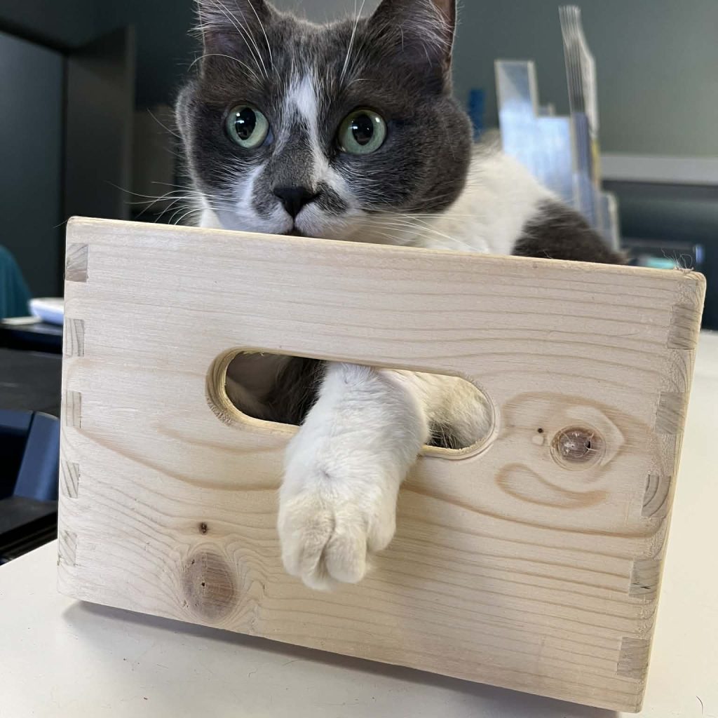 A67652df 03e2 4cda 9fdb 291aae75bb30