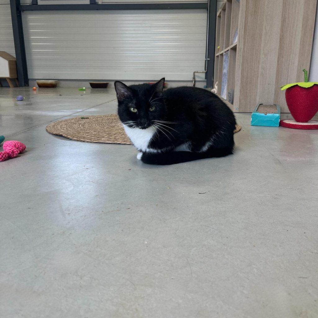 A6a71d46 73ff 42fe A376 068fadafd224