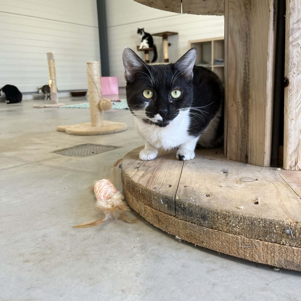 A6a9ef9b 3f1c 4703 A8c5 64c160e56718