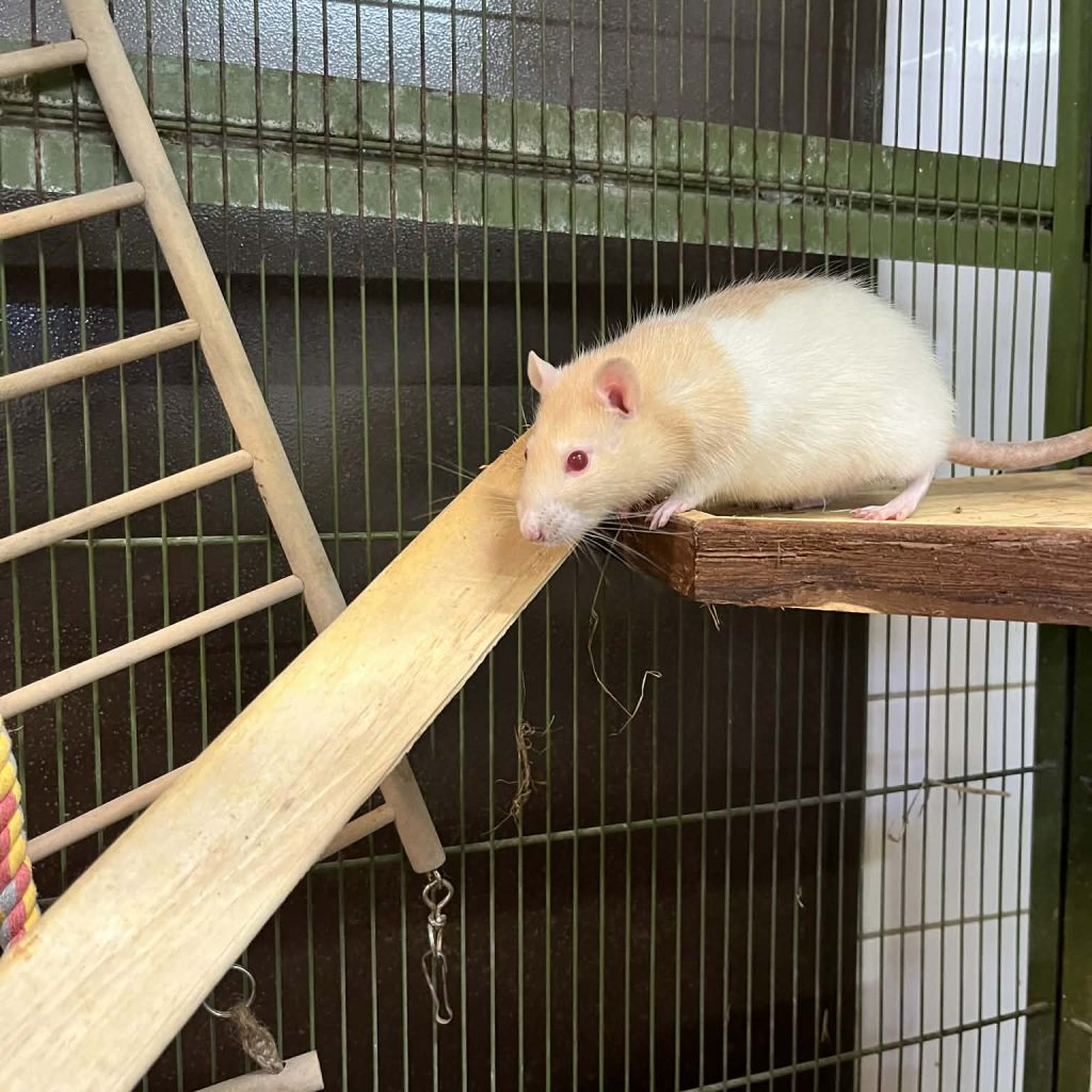 A7dd6b6f 395f 478e Bc6f 7b915528d77e