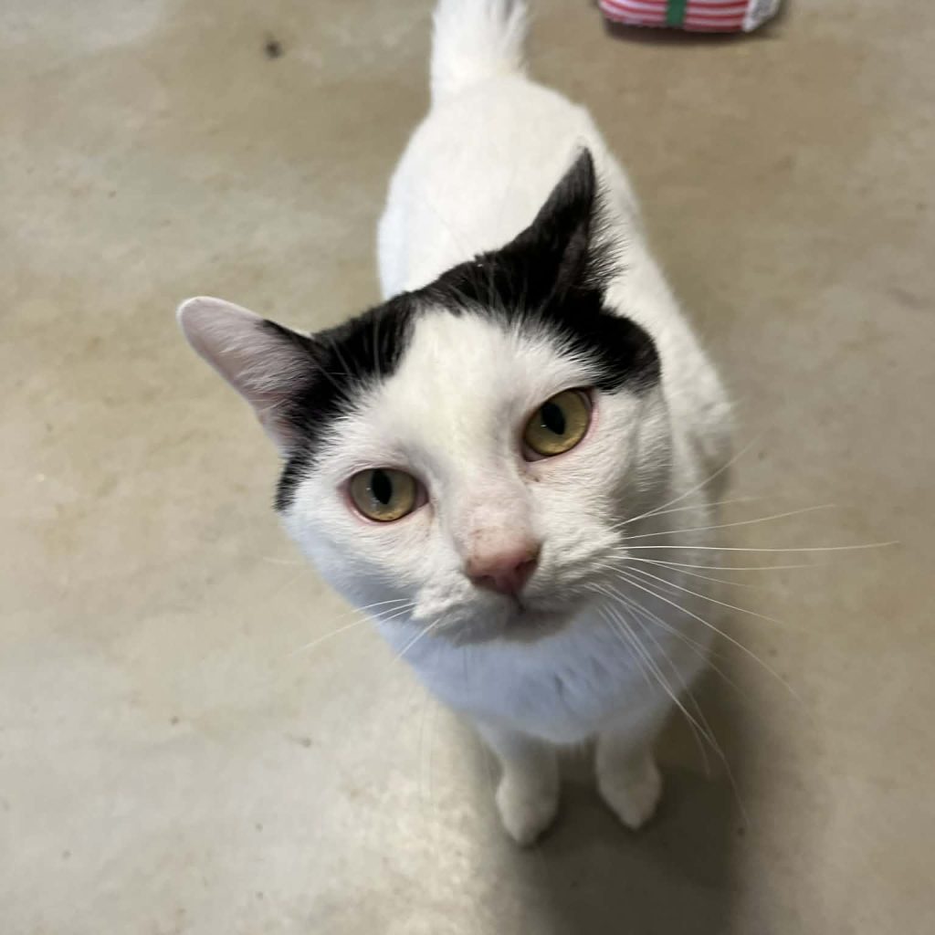 A9df2a4d 7971 4747 A7a4 3f43583b9c79