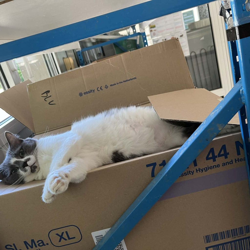 B392dfd0 7e89 428b A847 57348d2db801