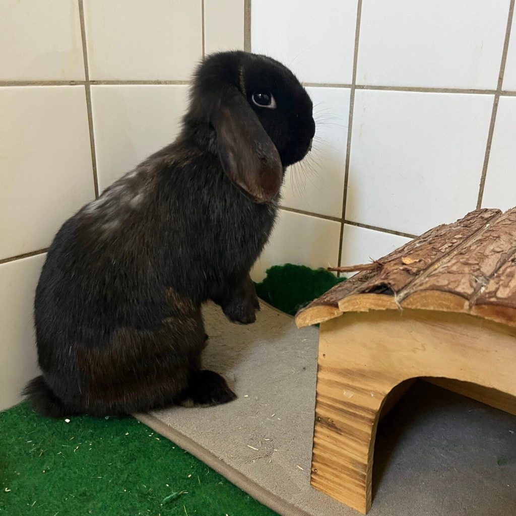 B8a52983 2f8b 48b5 8154 Fbfeb395ec9e