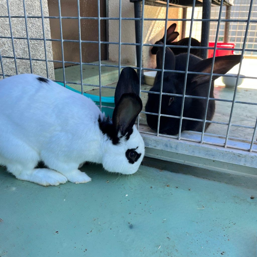 Ba9f9e02 9130 4aea 8b47 698c839b6f2b