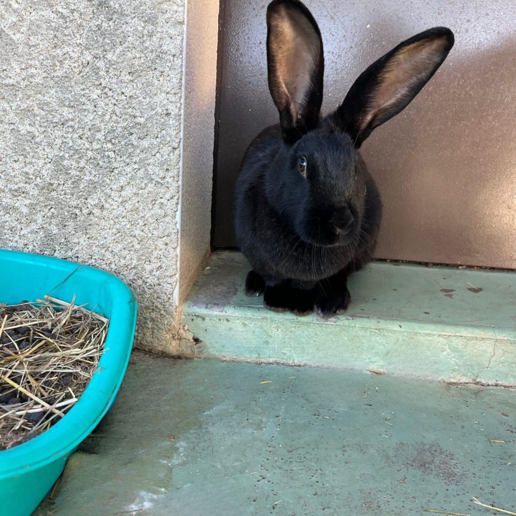 Bfb4126a 81fc 4912 B1cf Be05fa9268ce