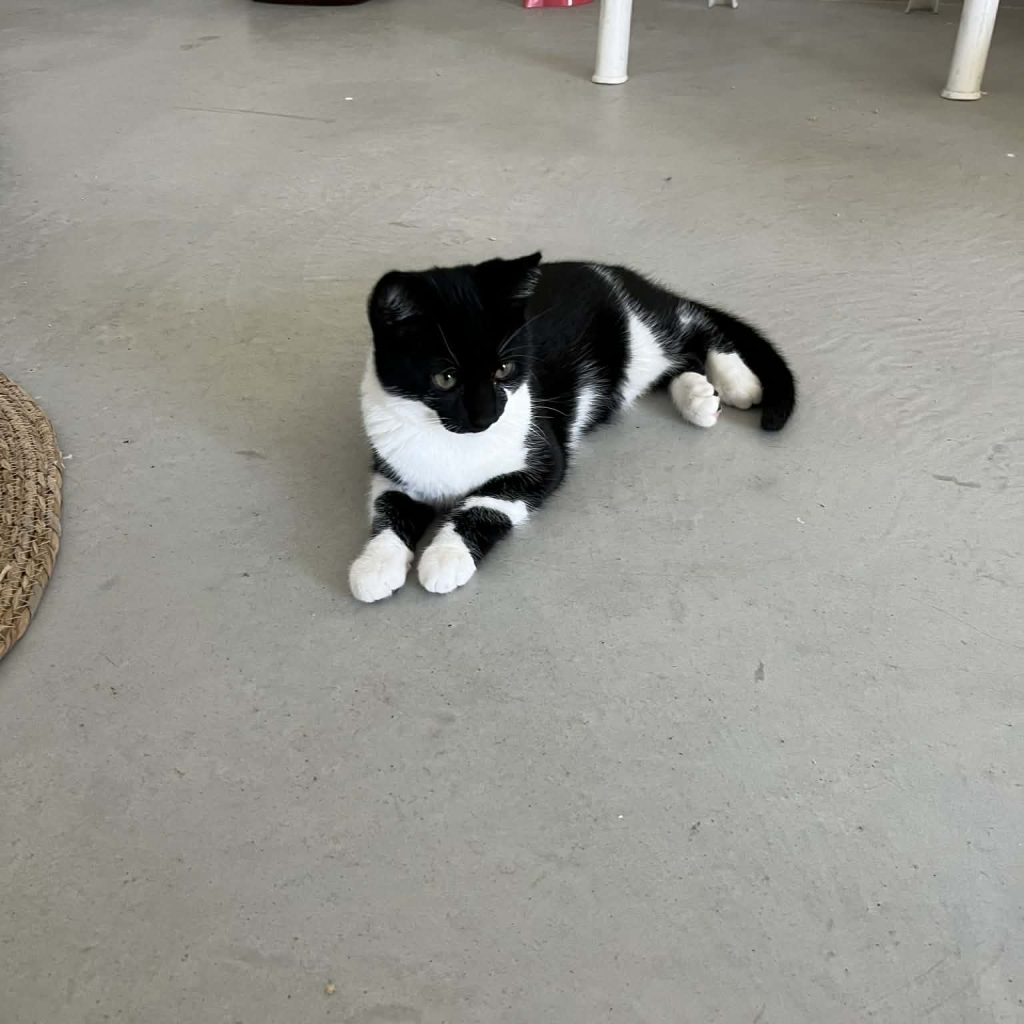 C25d695b 7986 46c4 8846 78f82a12956f