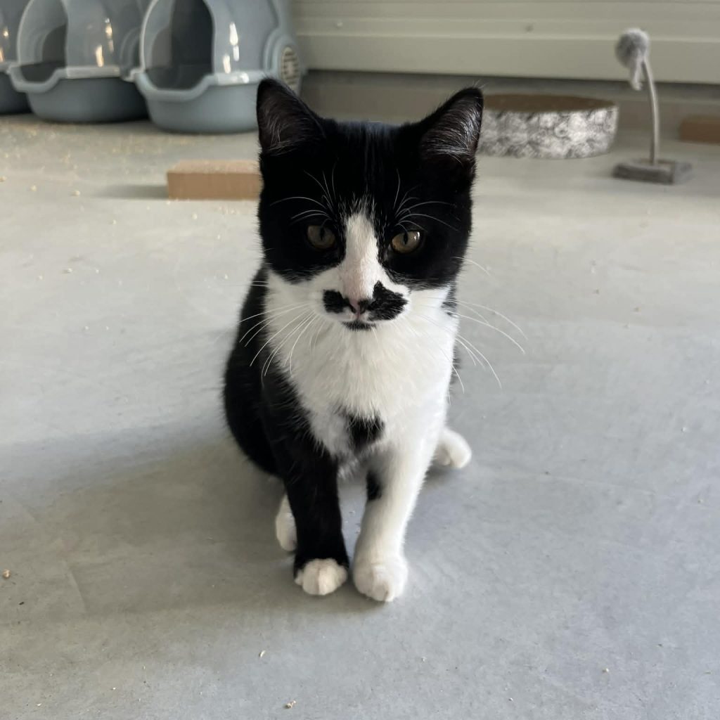 C7ca9c0d 7778 4ed2 9695 81f51d93d45e