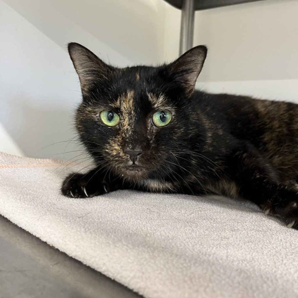 C7de9002 Ec12 465e A3d9 7715fe93694e