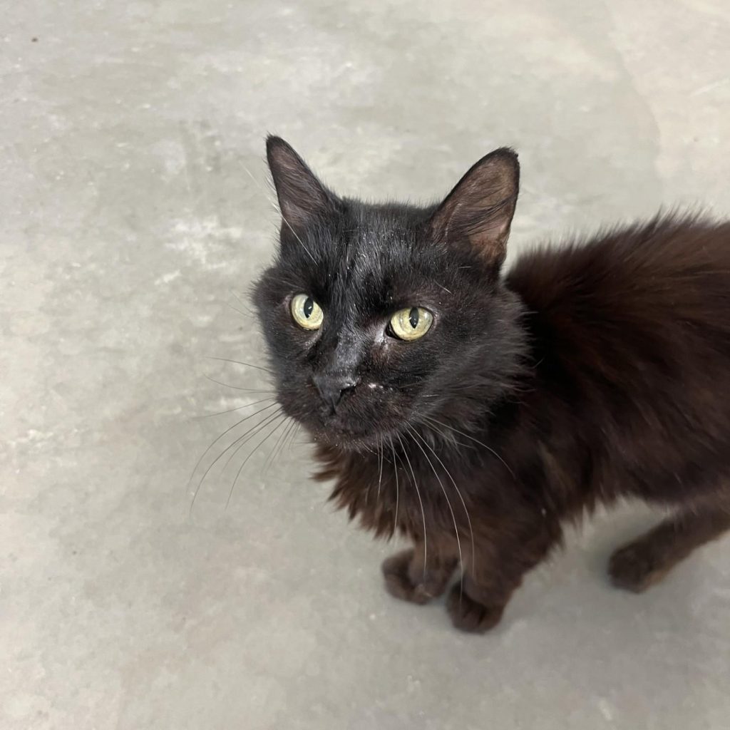 D3d18a87 B0b4 4951 A1fb Ab32416c3049