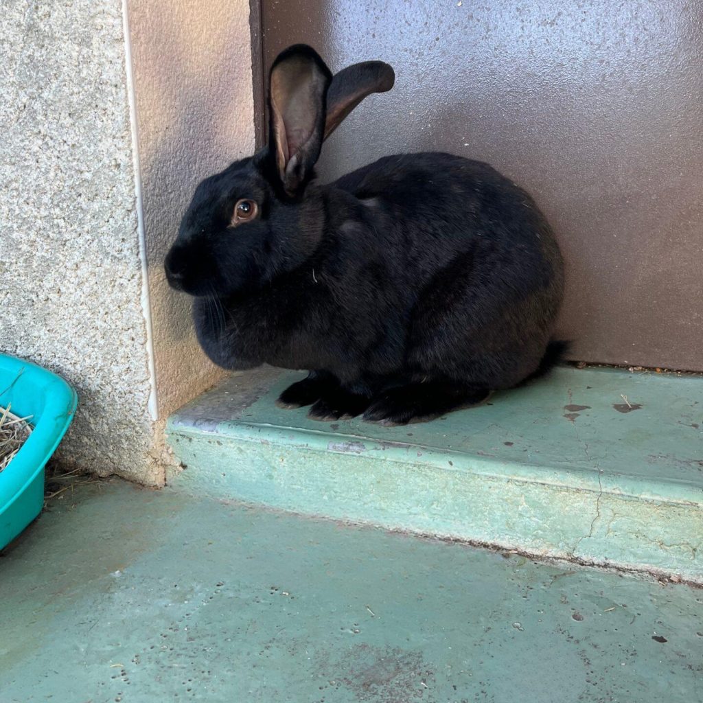 D44cc63d 576c 4d6e B52c Abebdfc51af3