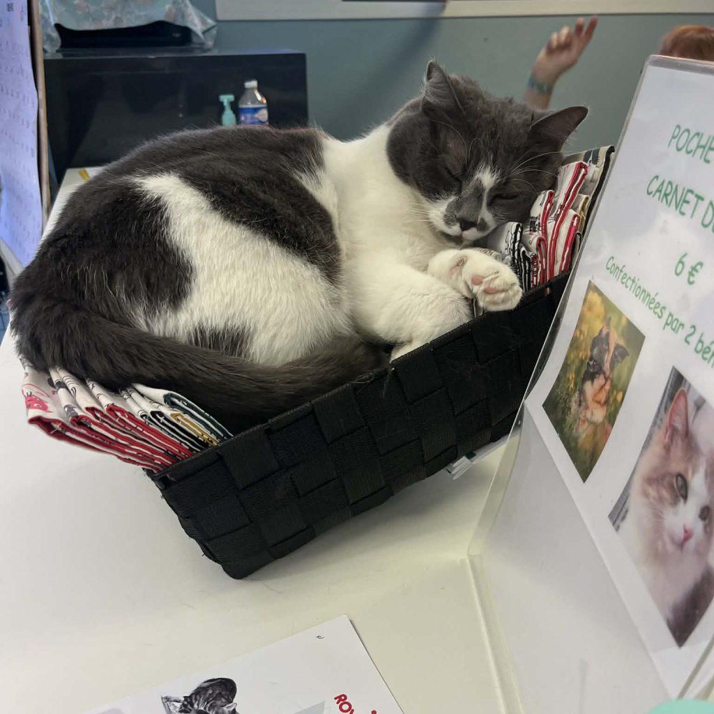 D6843755 14d0 4c53 B15c 9de8ff566846