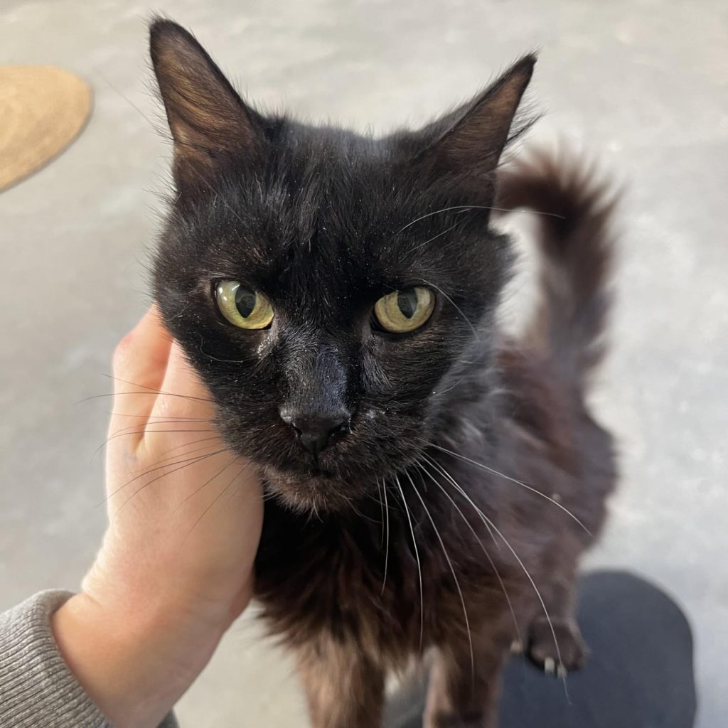 D90c9118 952a 4949 B291 710a3f1b9a2d