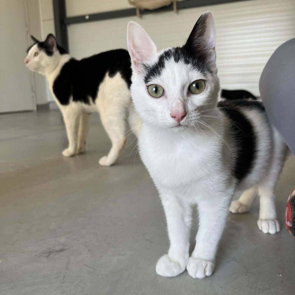 Da7c4233 9efc 410b 8fc6 F22de3561f46