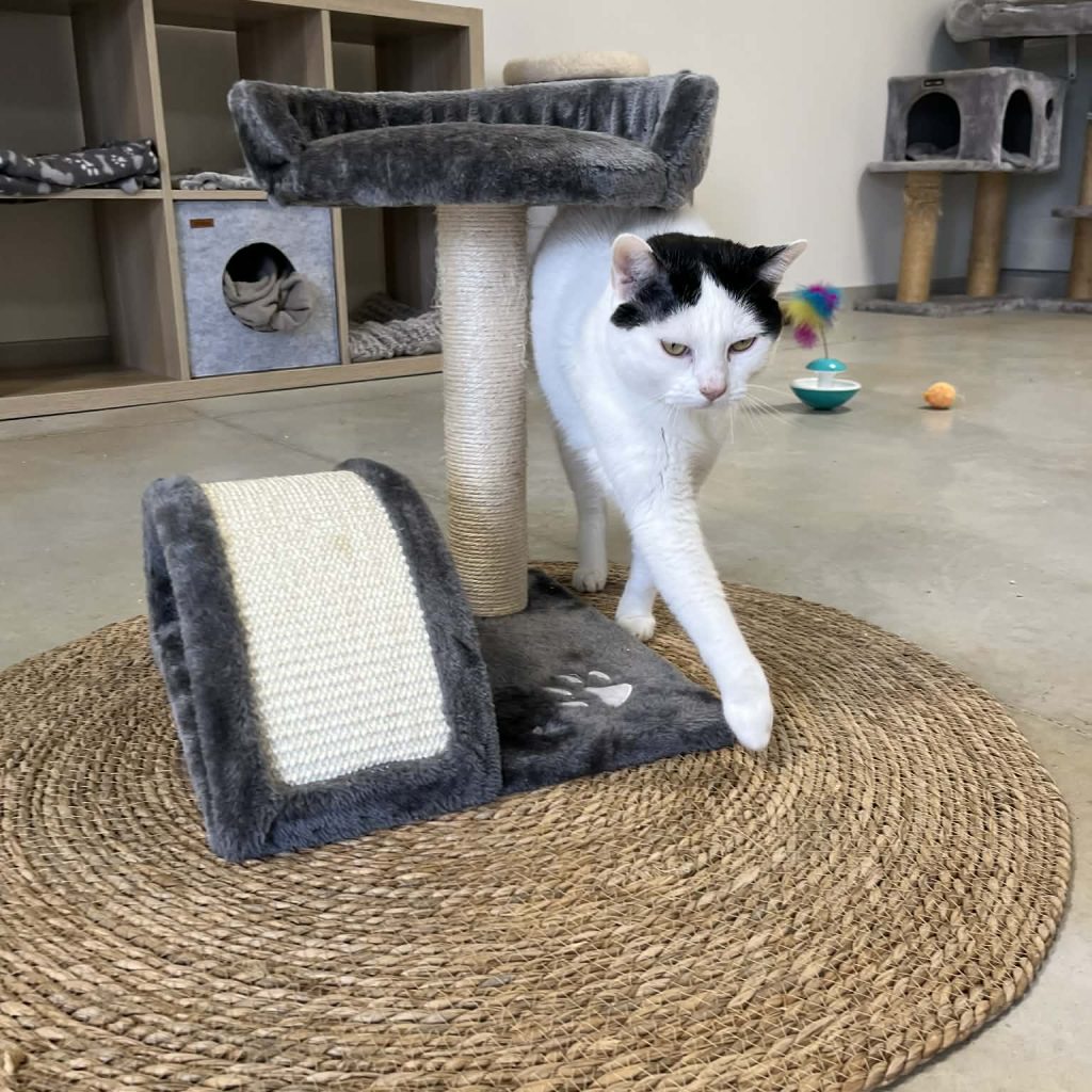 Dbb6e2d4 2184 4b4a Ab54 0d6dd0d61450