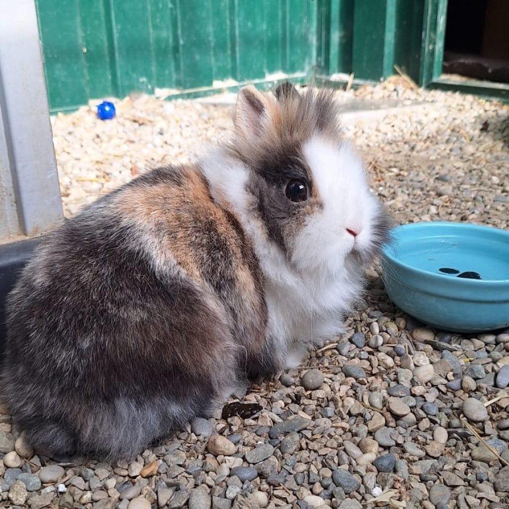 Dd6984df A7a8 495d 8472 A0cf7bd84185(1)