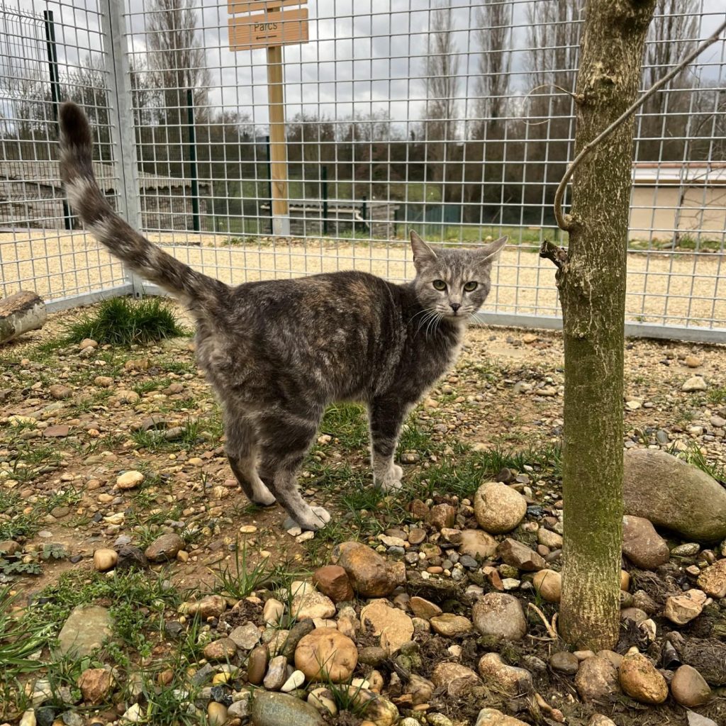 Ddcfed02 0afb 42b7 9738 9fec1a447e9c