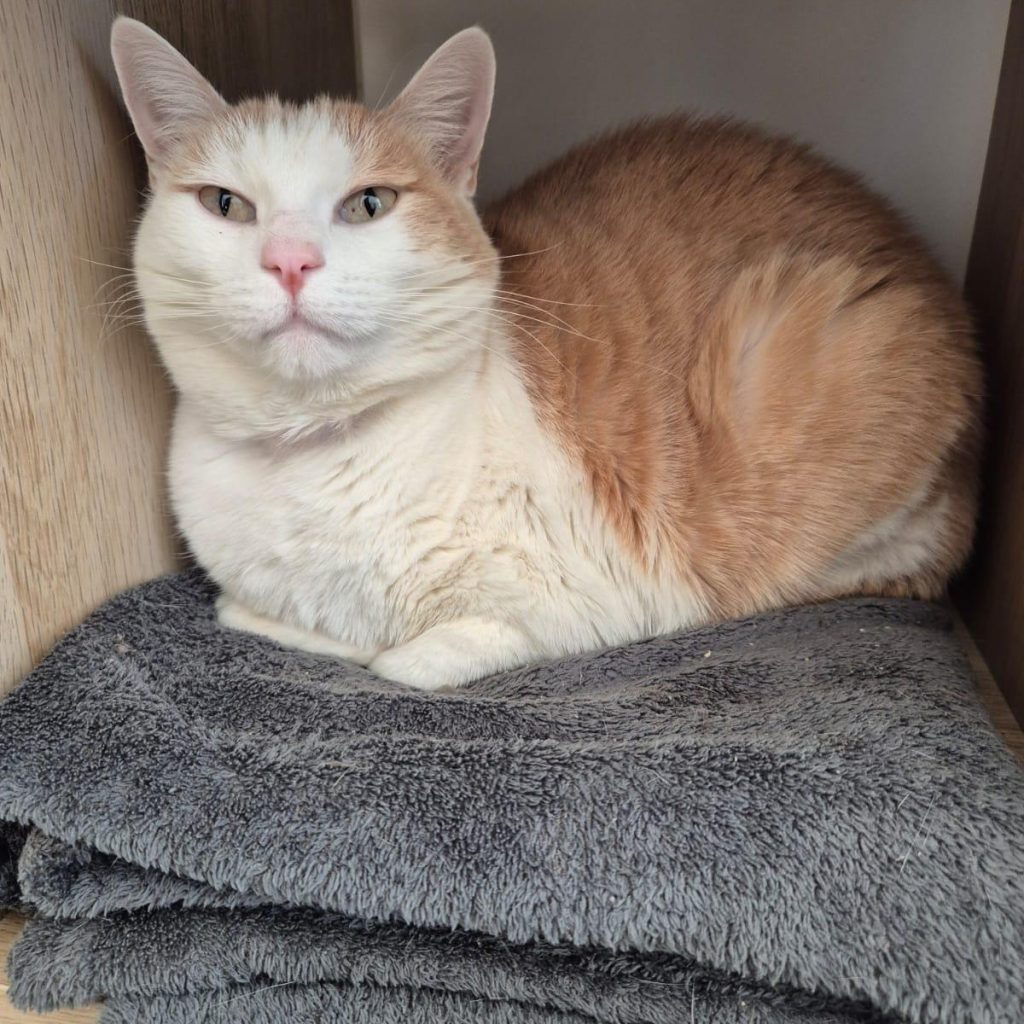 E27fcd01 73a1 40d7 8586 2016a740b334