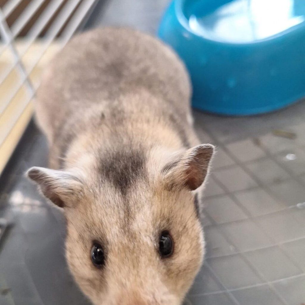 E2de8375 A2c4 44ed 8ebb 55768a59e7da