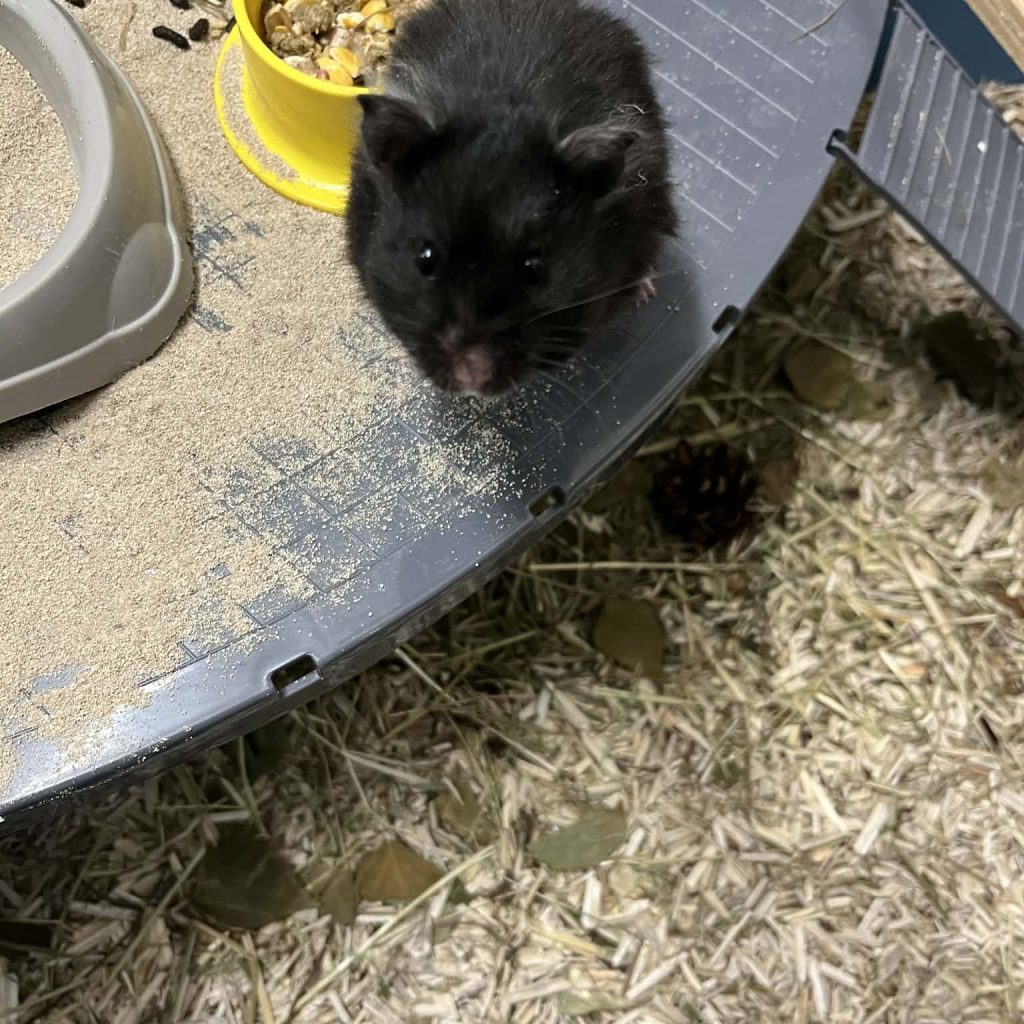 E445d42e 68b3 4556 8181 3f86ef81c28e