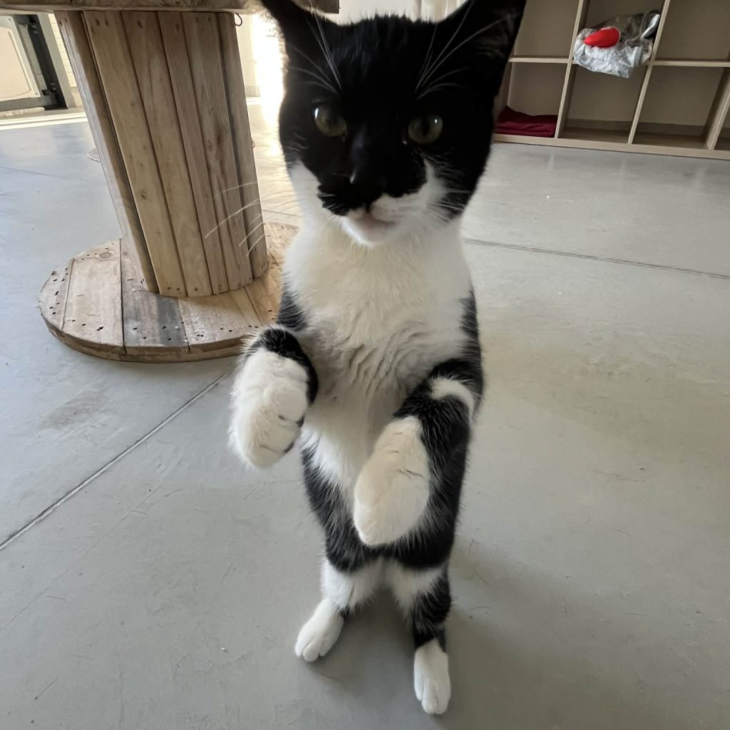 F23871e0 93b9 4ca3 9917 C44c17a359d6