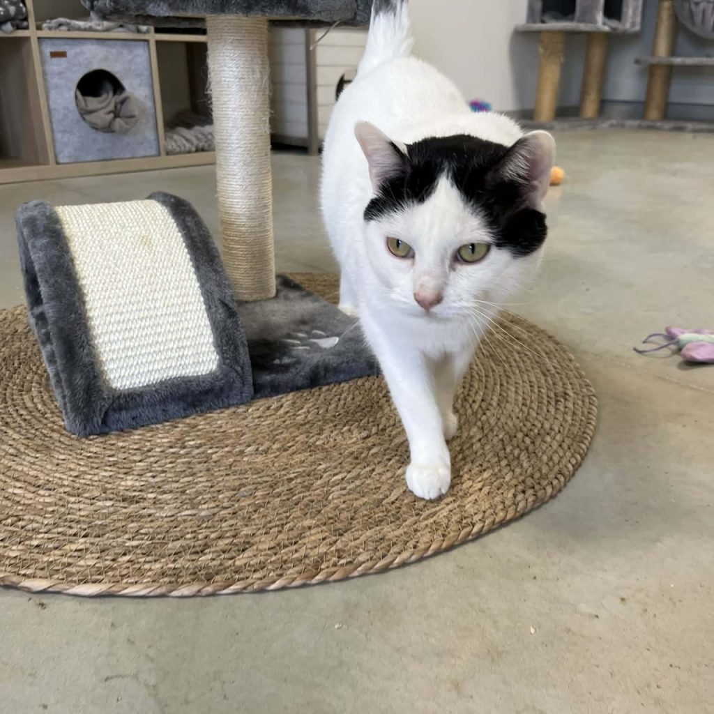 F2d741fa 2695 48b0 9278 6c6c0a32b26f