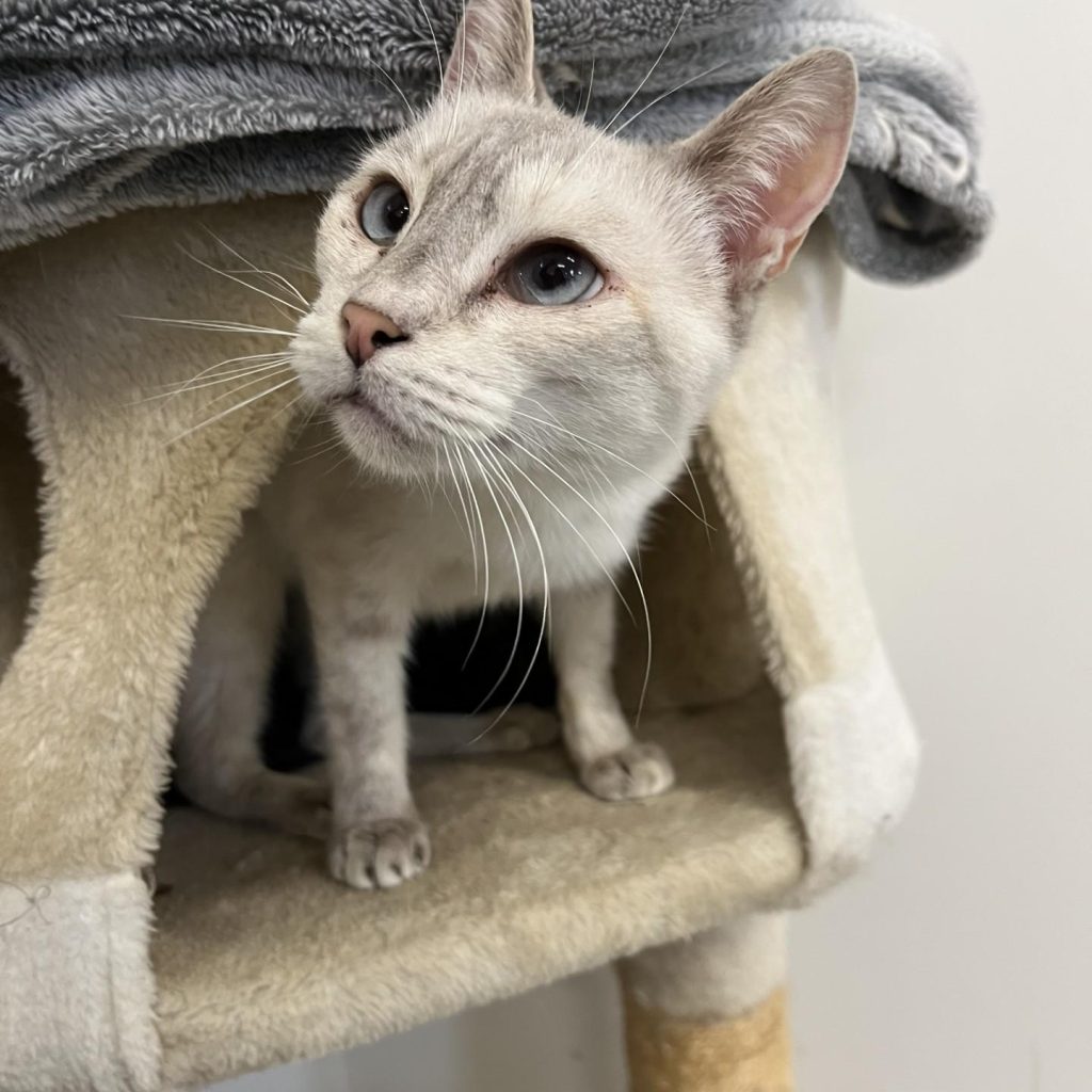 F42a37d4 011f 407c 97f8 62b5fa1d2269