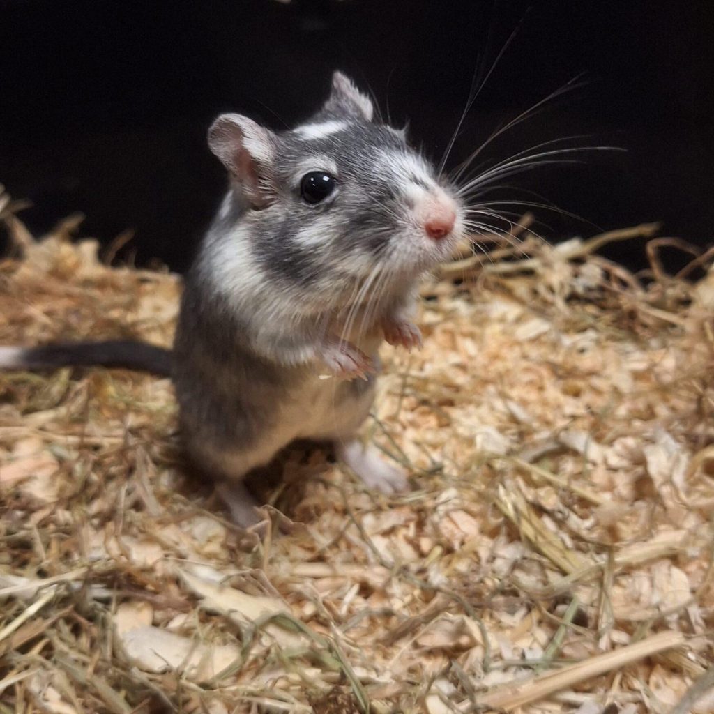 F467add9 0bdc 4711 803d C24b4072442e