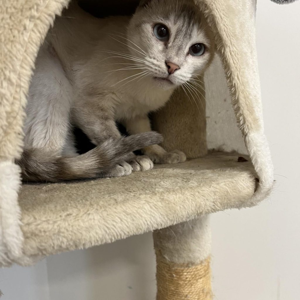 F600c214 59b7 4218 A1eb 8c6511d5ed12