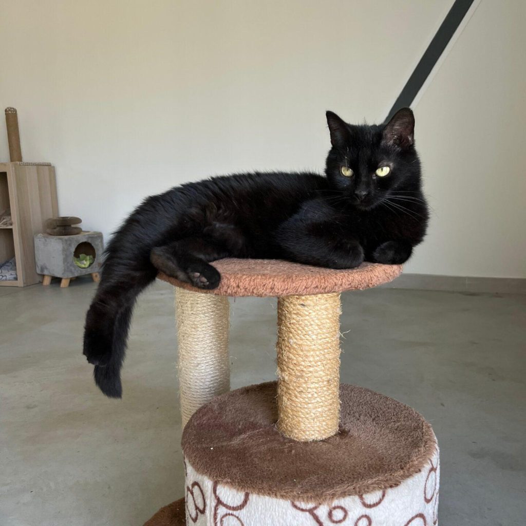 F81a3851 0f6e 42de A3ee 1b25bf5b180a