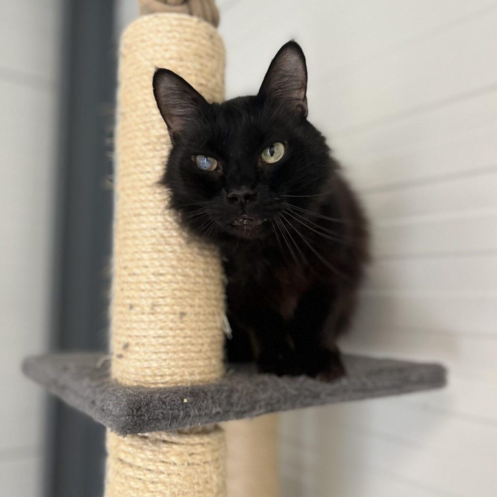 Ff44ca7f 68e4 49f8 A35f 88b115ffd5f9