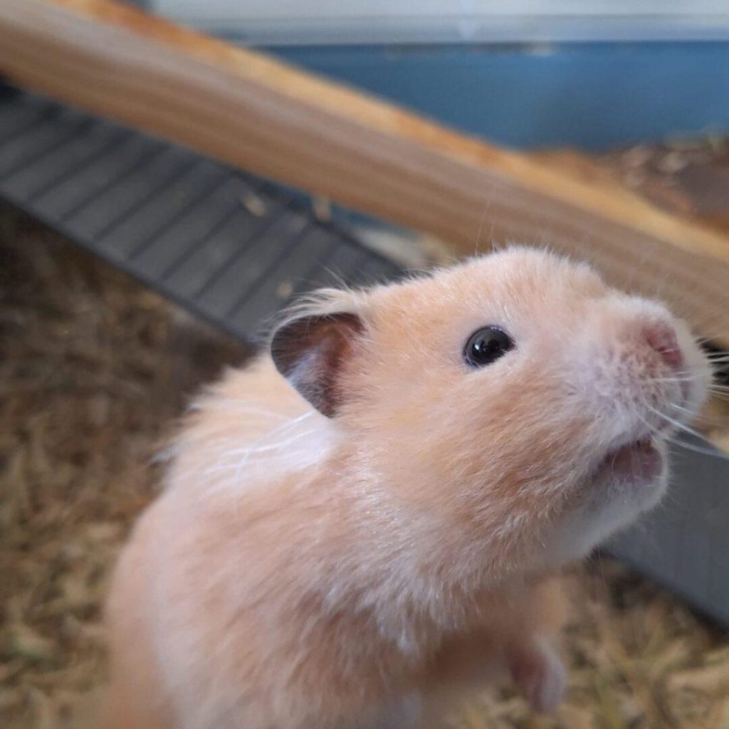 Thumbnail 80a3afc0 20a7 413f B47e 7783ff3fbdef